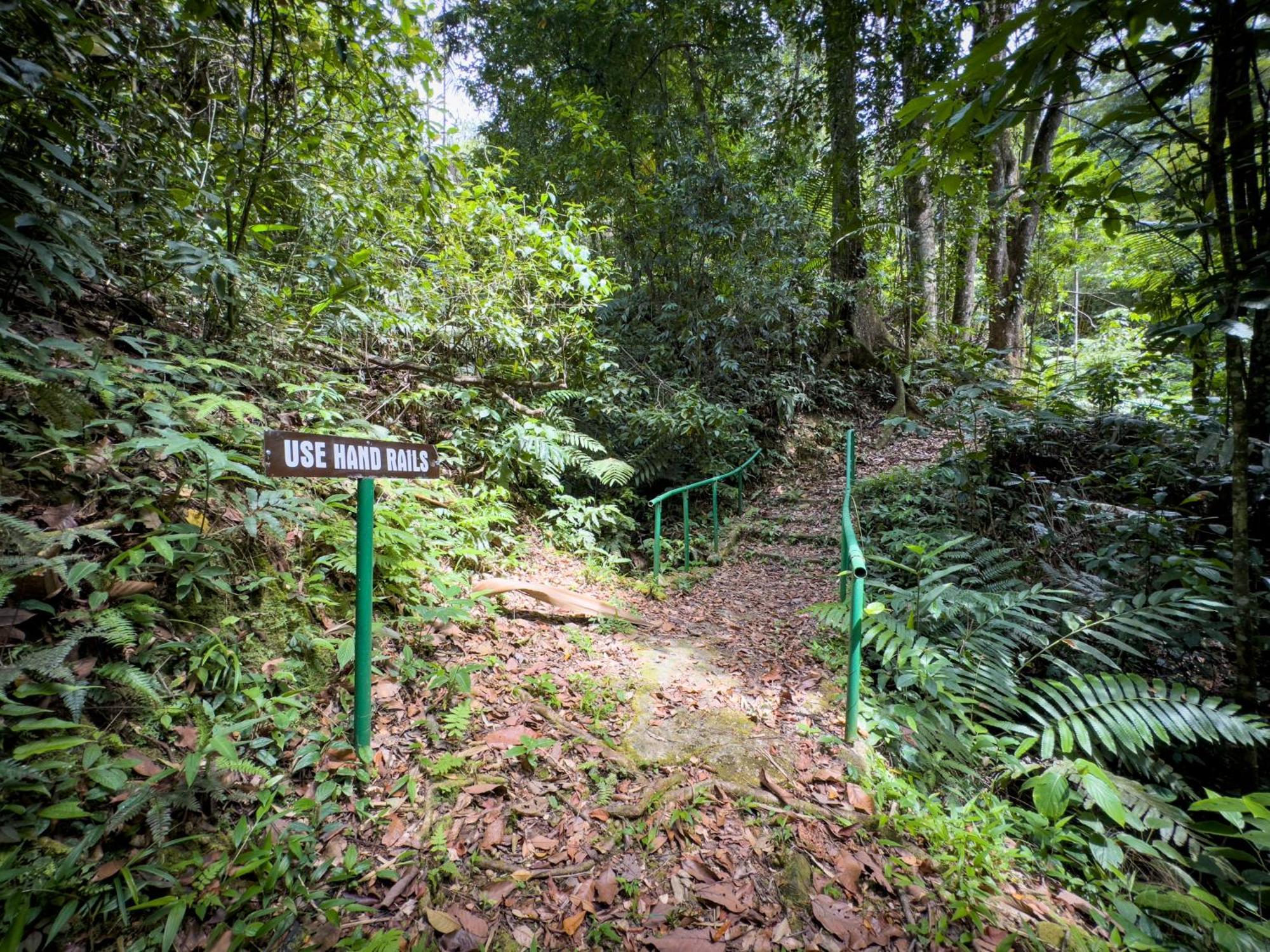 Hadco Experiences At Asa Wright Nature Centre Blanchisseuse Zewnętrze zdjęcie